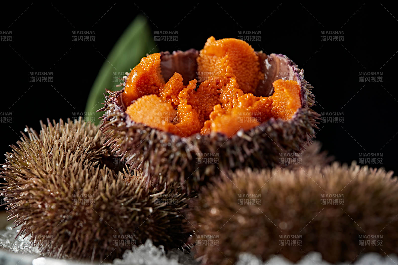 日料生鲜海胆刺身图片