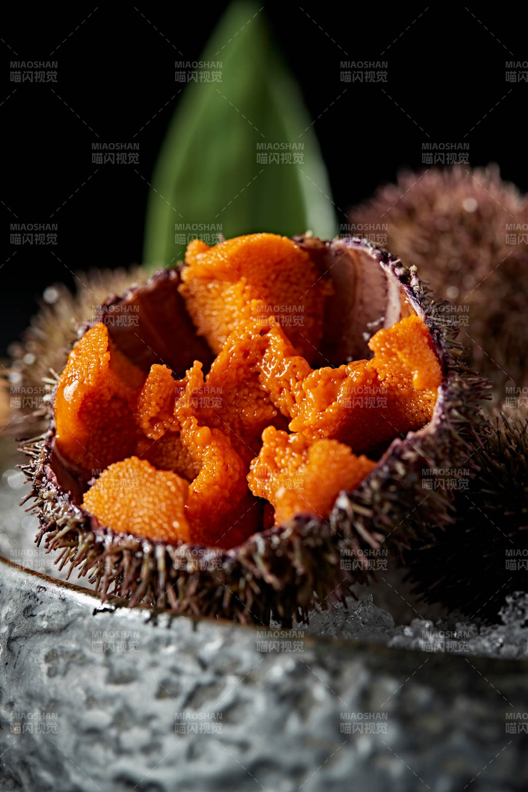 日料生鲜海胆刺身图片