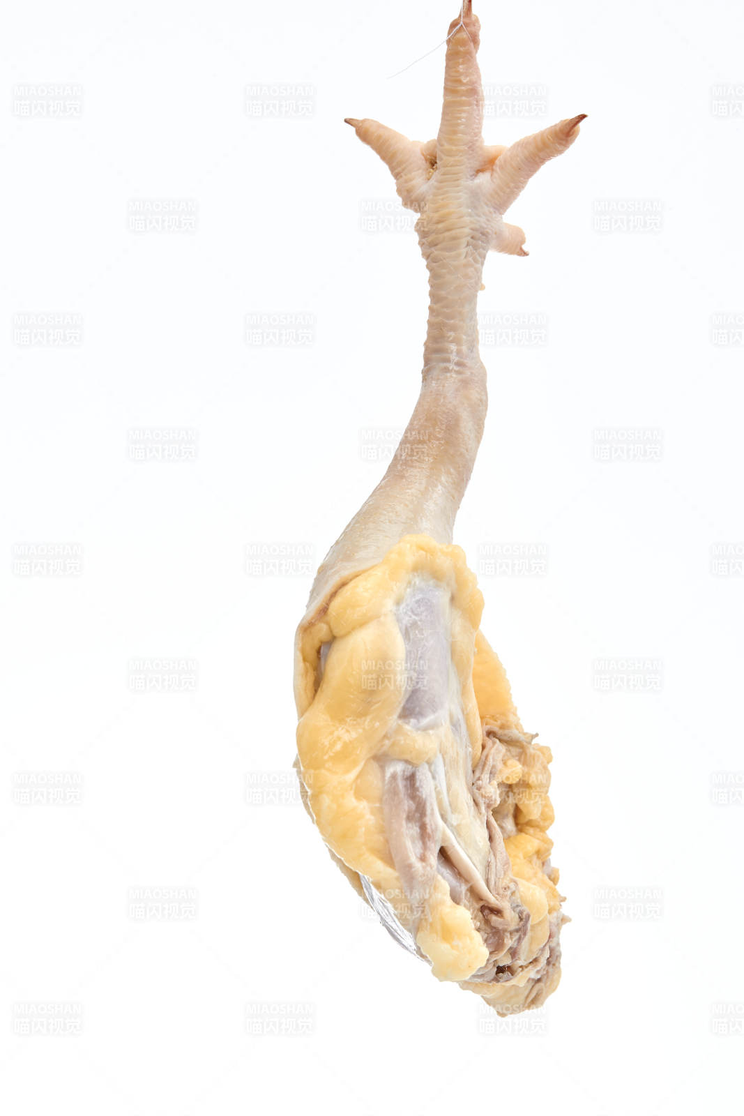 摆放在白色背景上分切好的生鲜鸡腿图片