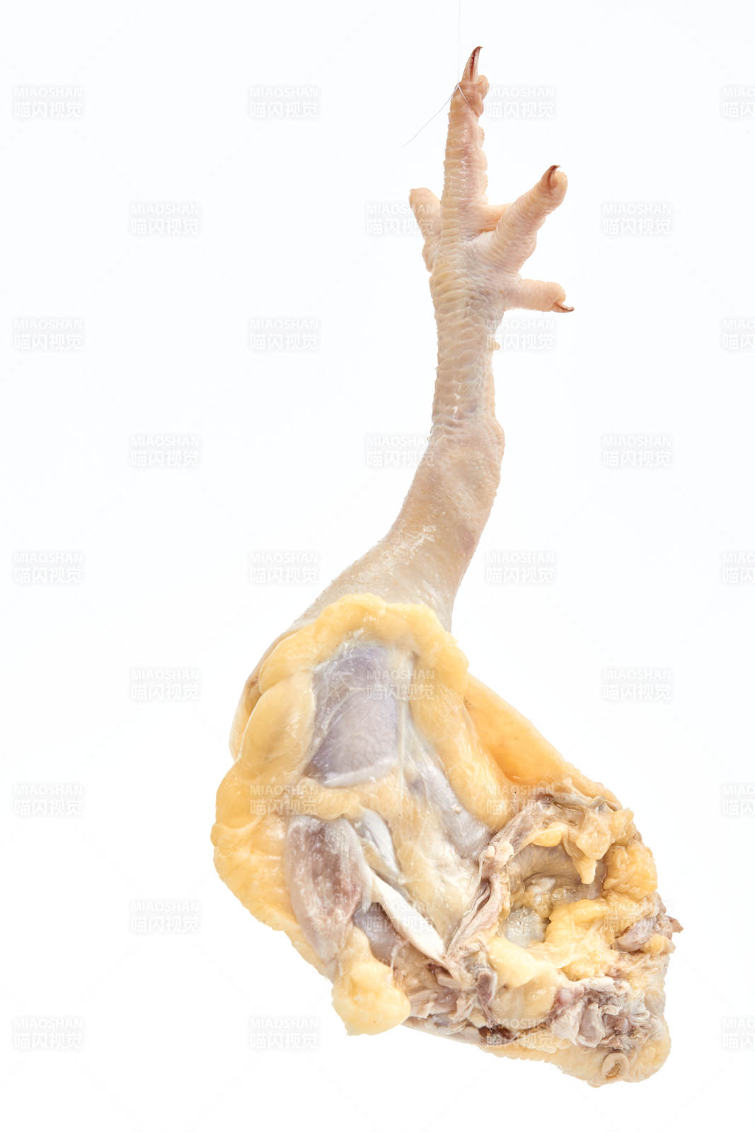摆放在白色背景上分切好的生鲜鸡腿图片
