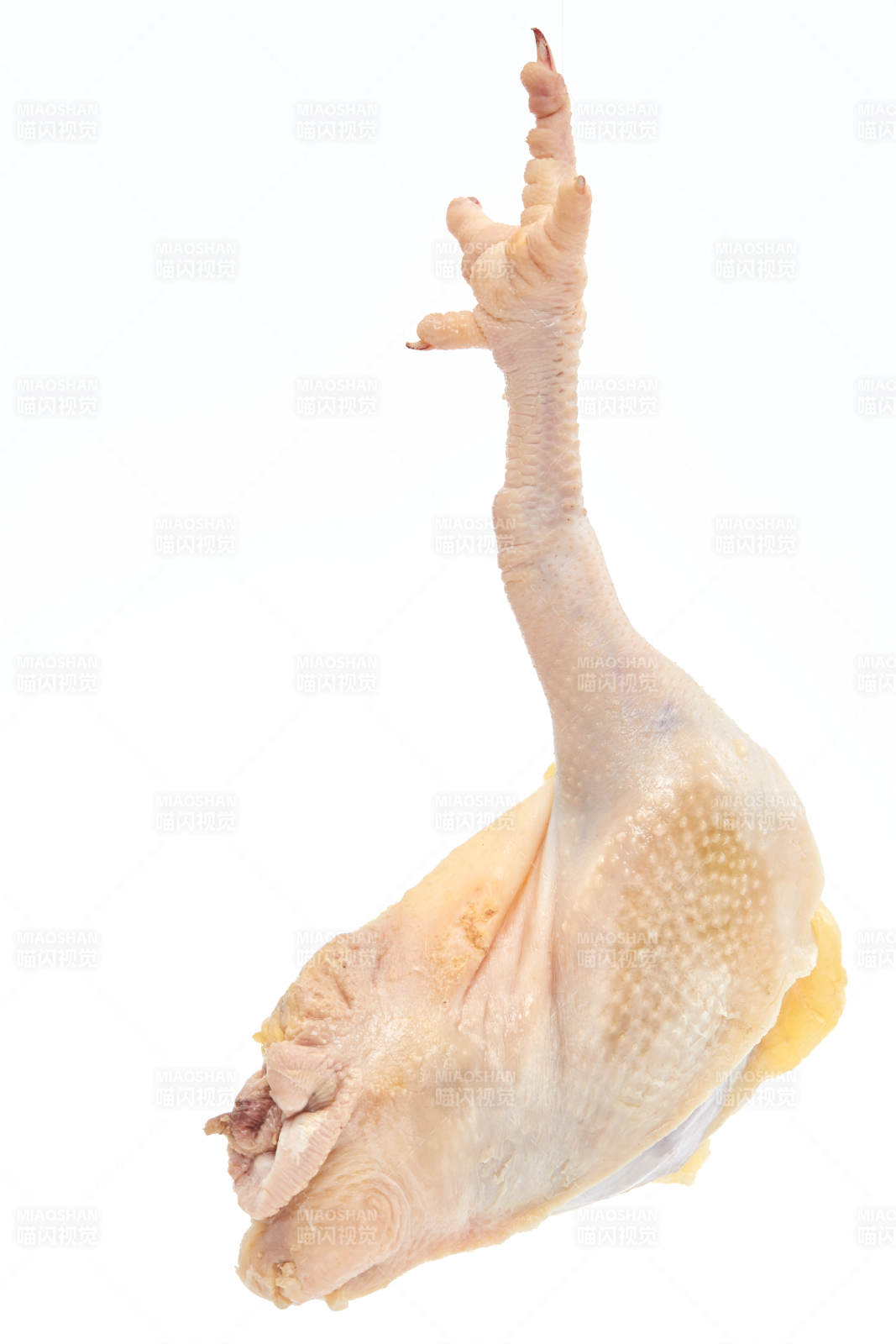 摆放在白色背景上分切好的生鲜鸡腿图片