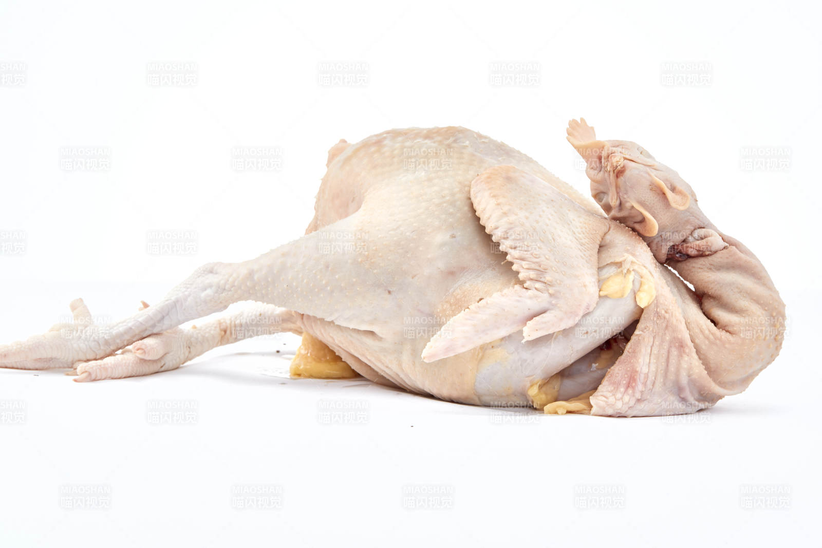 摆放在白色背景上的生鲜鸡肉整鸡图片