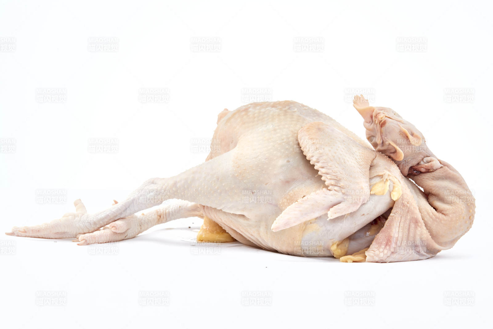 摆放在白色背景上的生鲜鸡肉整鸡图片