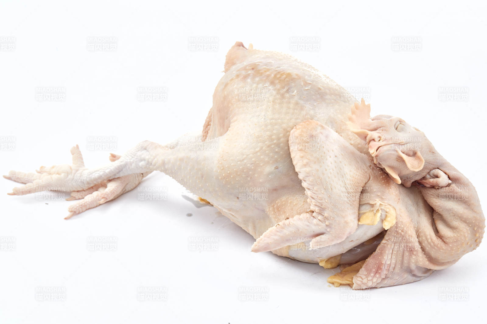 摆放在白色背景上的生鲜鸡肉整鸡图片