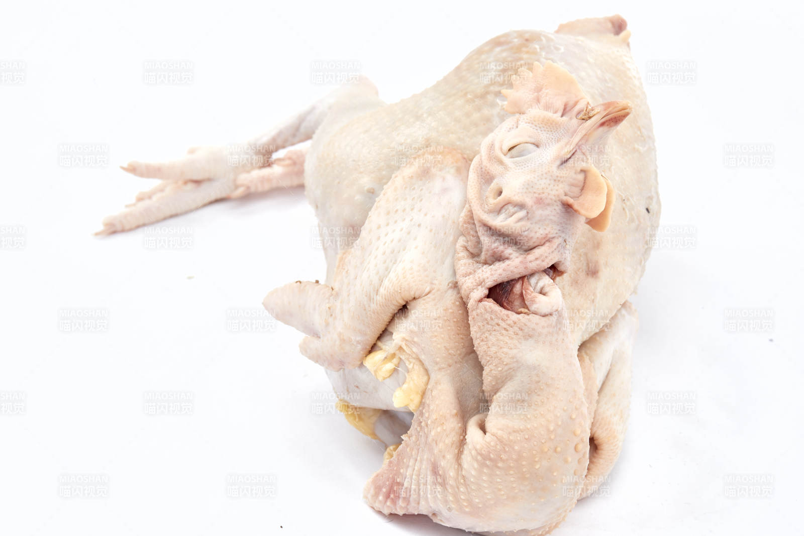 摆放在白色背景上的生鲜鸡肉整鸡图片