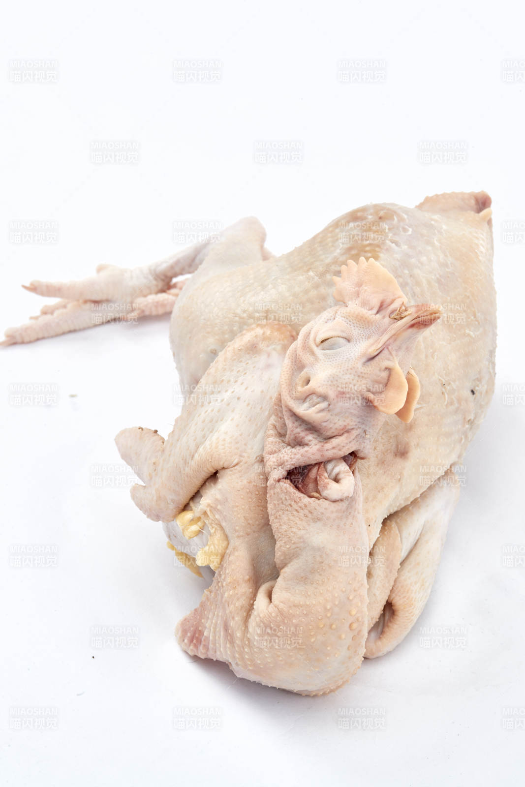 摆放在白色背景上的生鲜鸡肉整鸡图片