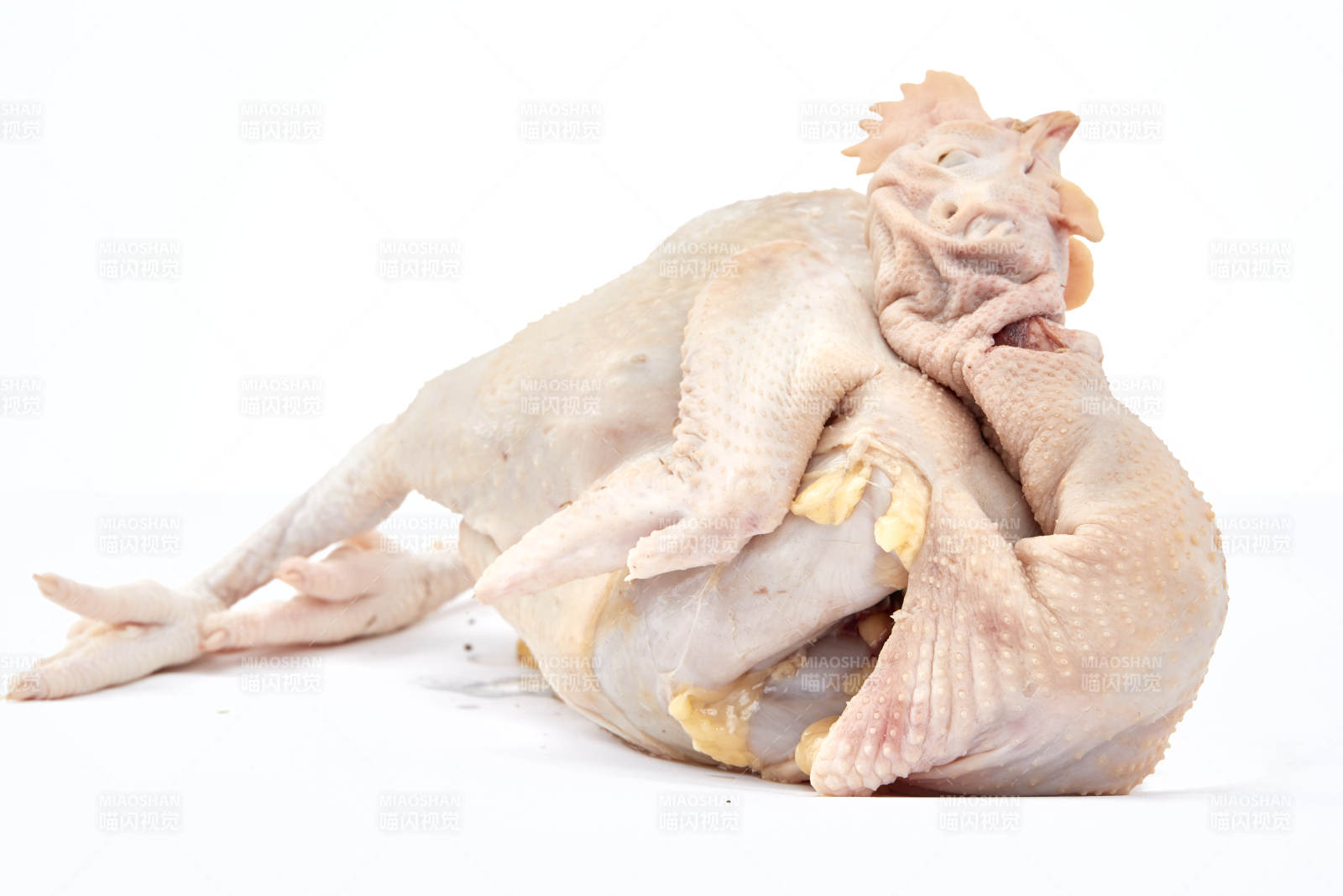 摆放在白色背景上的生鲜鸡肉整鸡图片