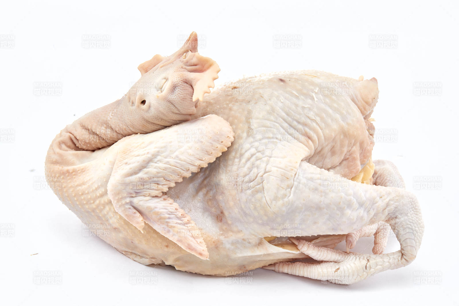 摆放在白色背景上的生鲜鸡肉整鸡图片
