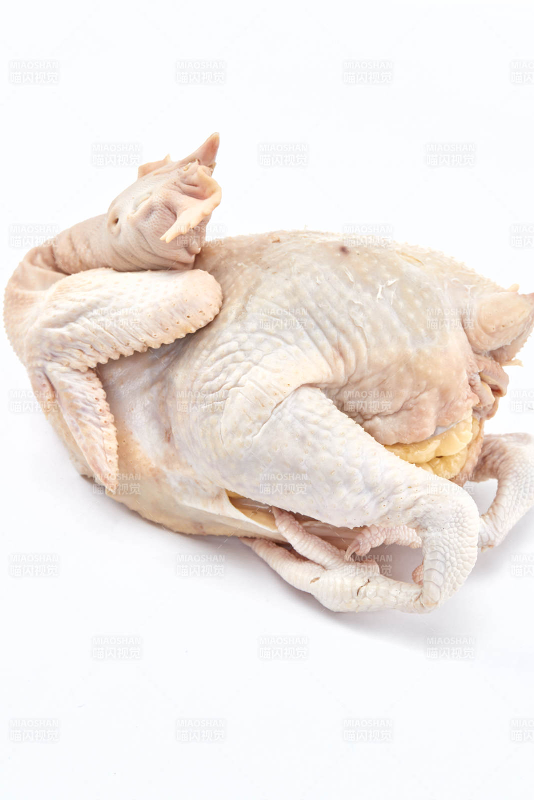 摆放在白色背景上的生鲜鸡肉整鸡图片