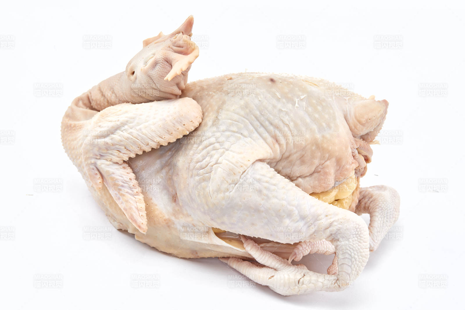 摆放在白色背景上的生鲜鸡肉整鸡图片
