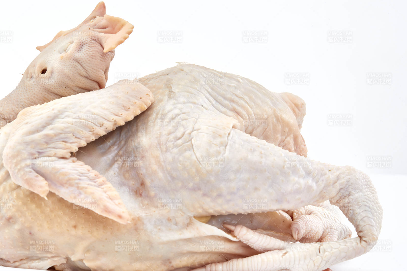 摆放在白色背景上的生鲜鸡肉整鸡图片