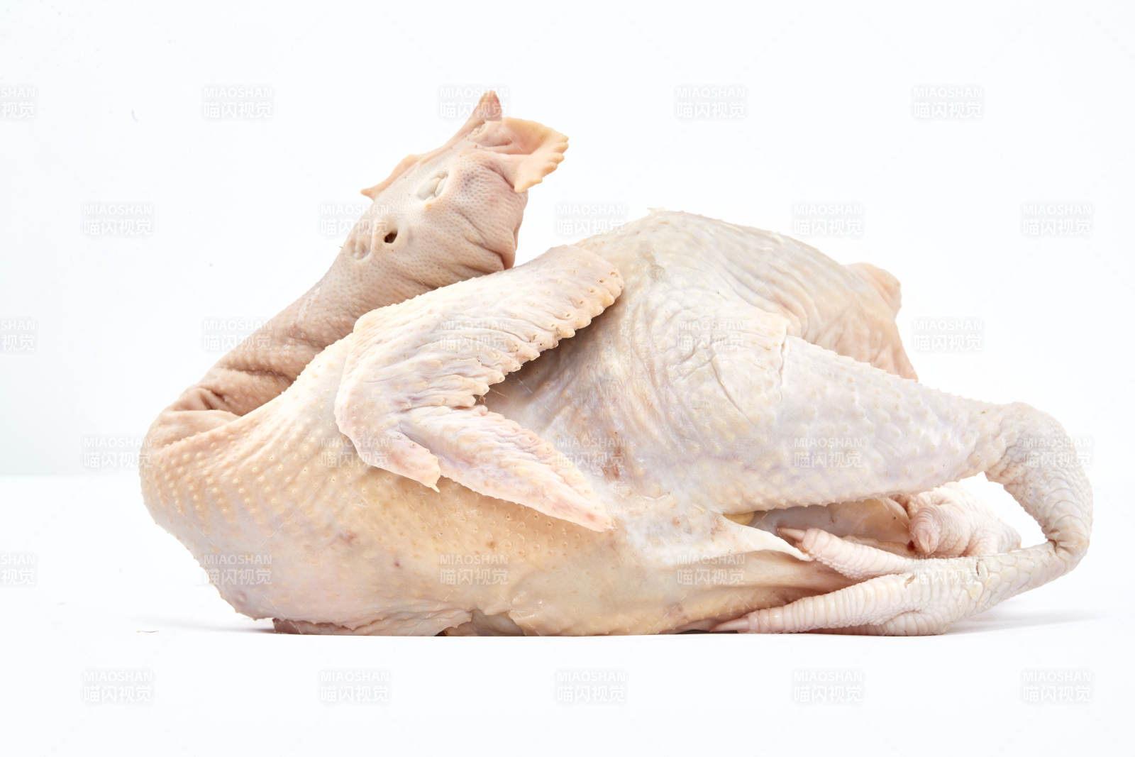 摆放在白色背景上的生鲜鸡肉整鸡图片