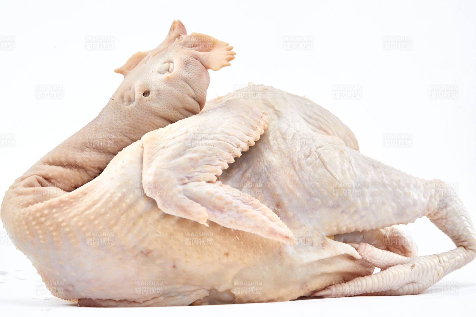 摆放在白色背景上的生鲜鸡肉整鸡图片