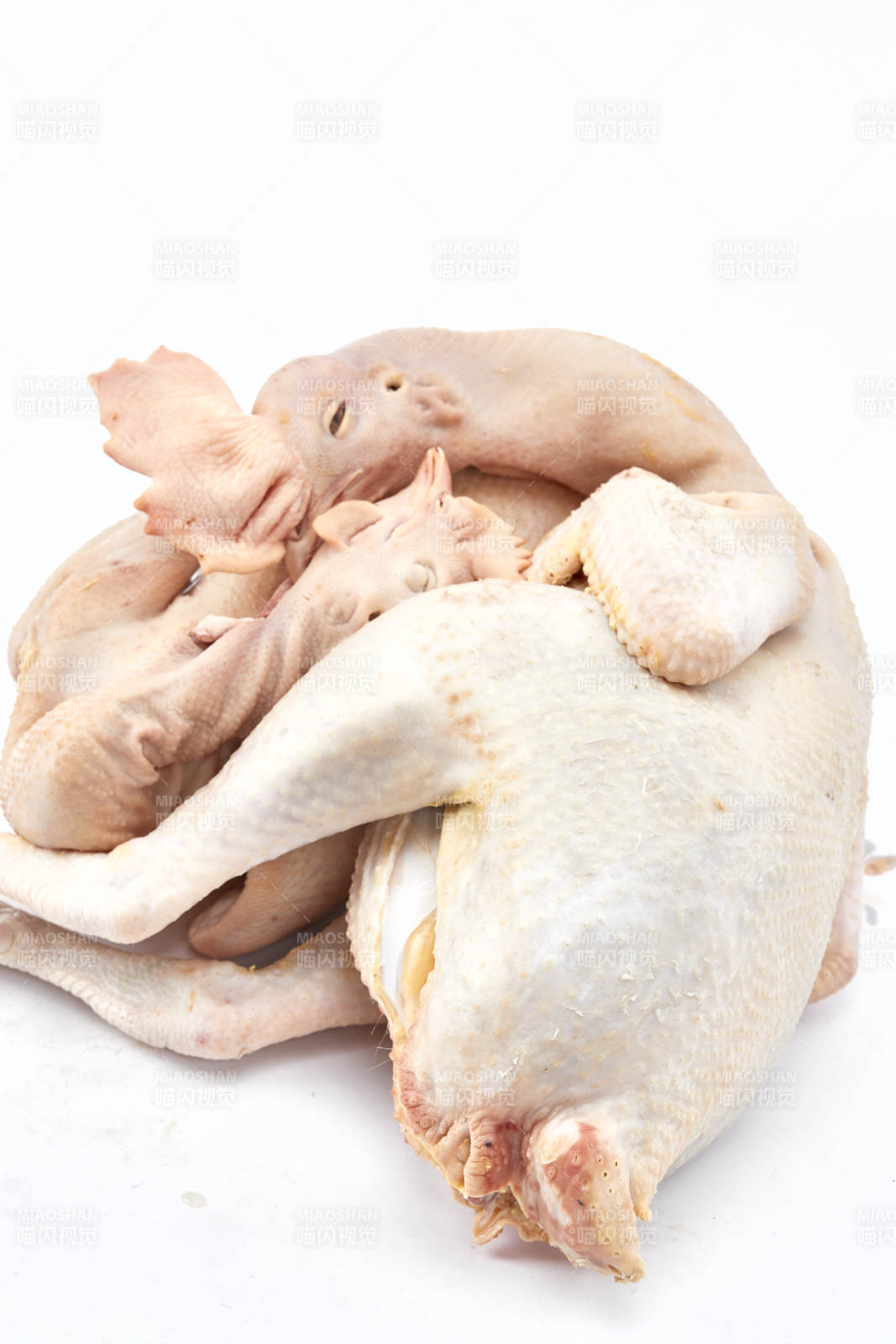 摆放在白色背景上的生鲜鸡肉整鸡图片