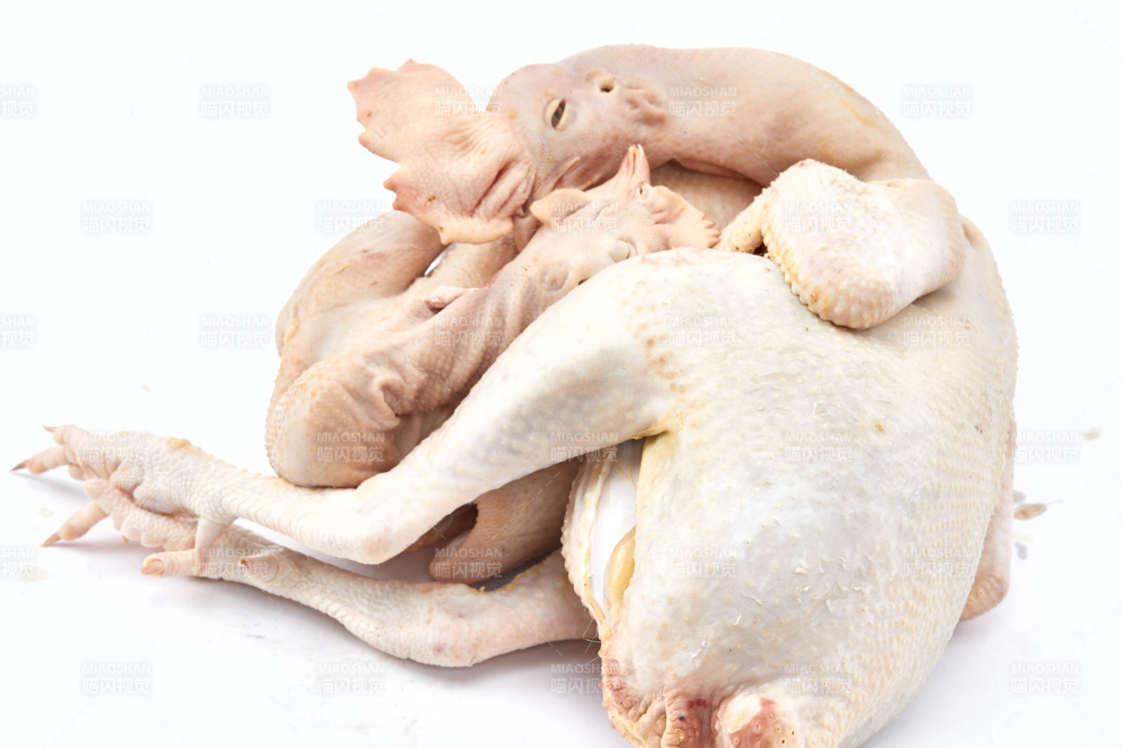 摆放在白色背景上的生鲜鸡肉整鸡图片