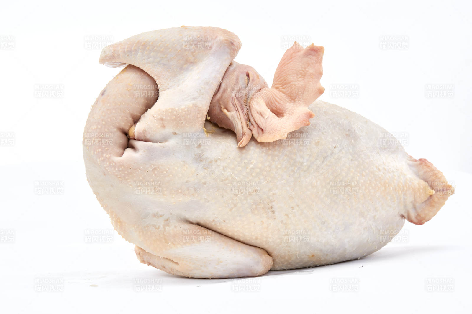 摆放在白色背景上的生鲜鸡肉整鸡图片