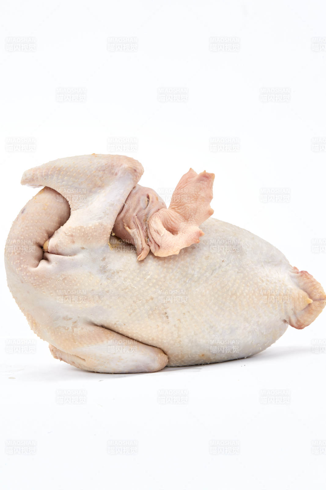 摆放在白色背景上的生鲜鸡肉整鸡图片