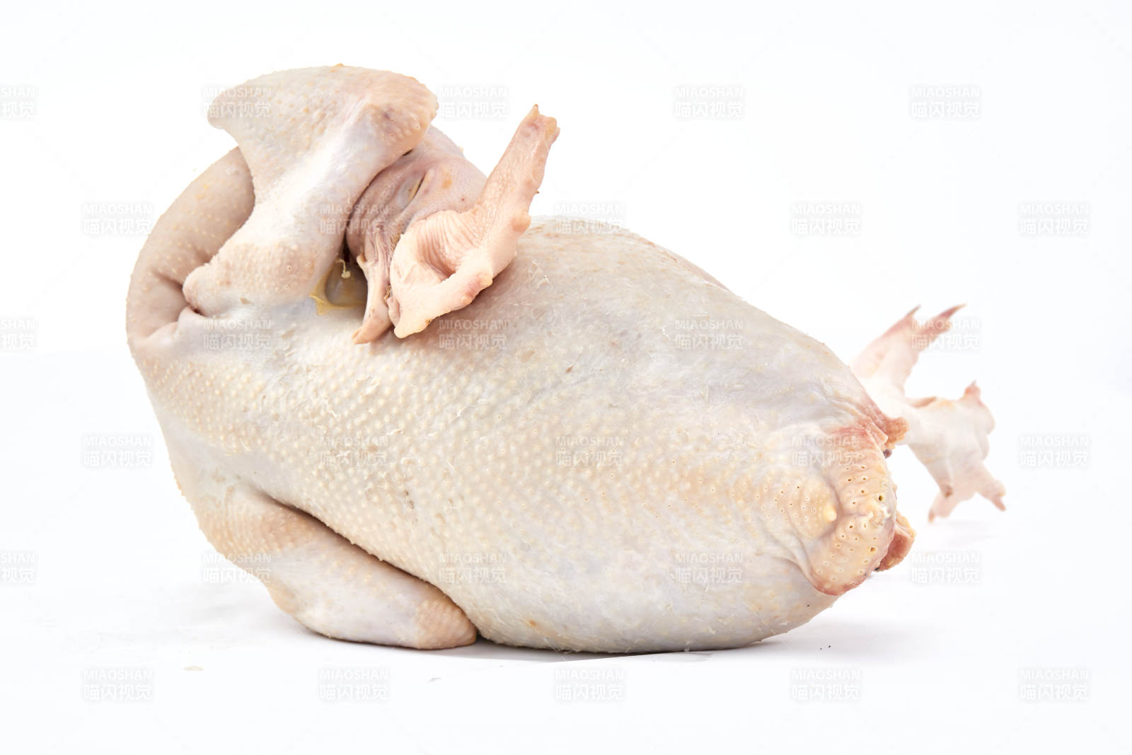 摆放在白色背景上的生鲜鸡肉整鸡图片