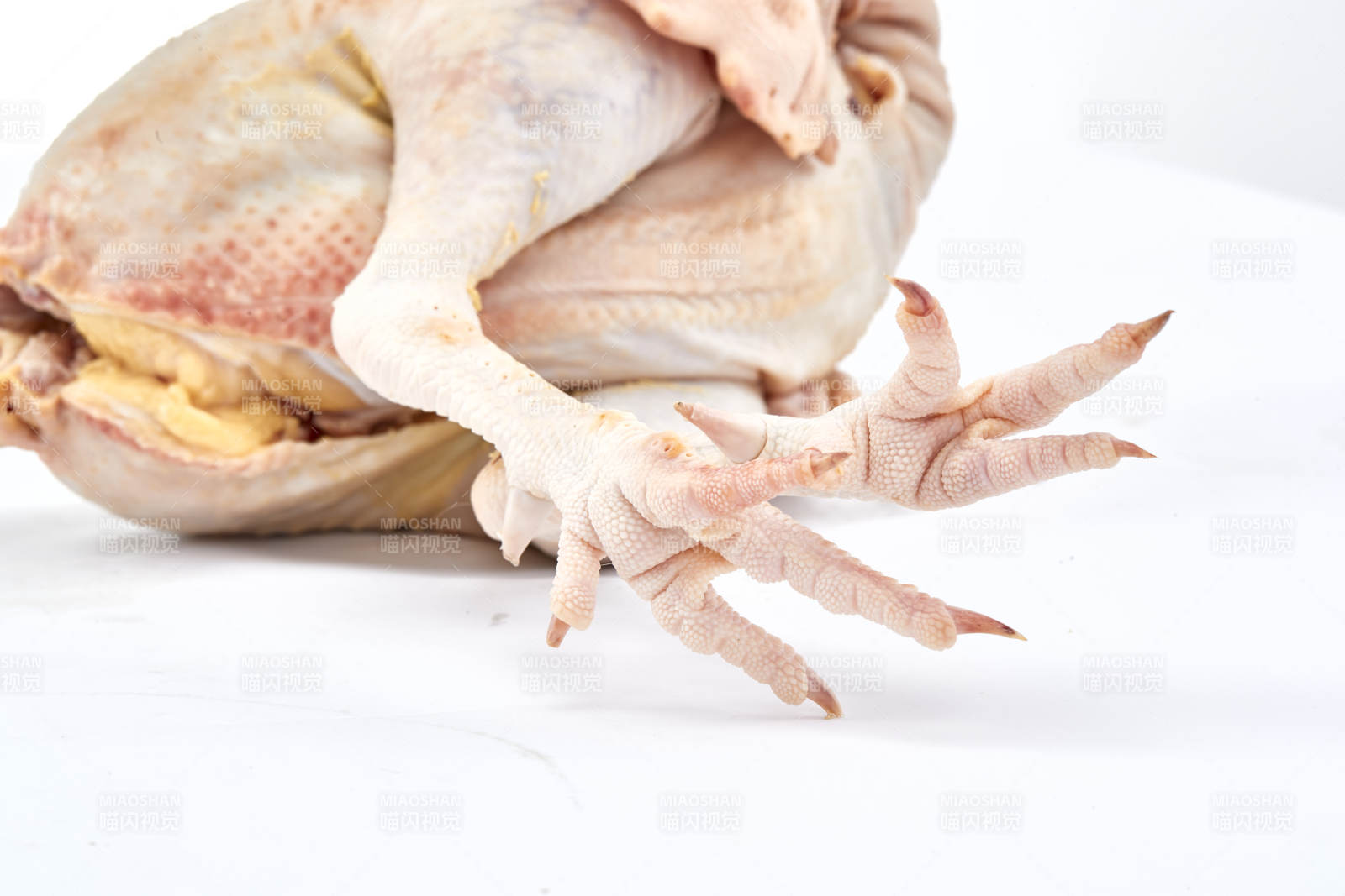摆放在白色背景上的生鲜鸡肉整鸡图片