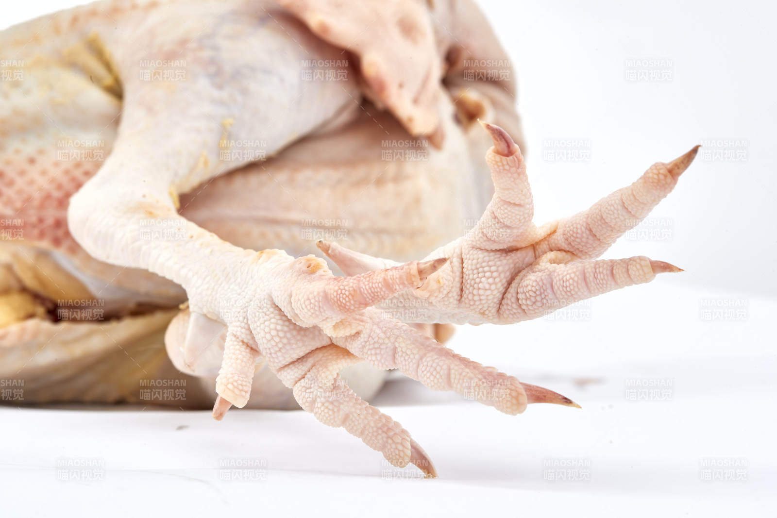 摆放在白色背景上的生鲜鸡肉整鸡图片
