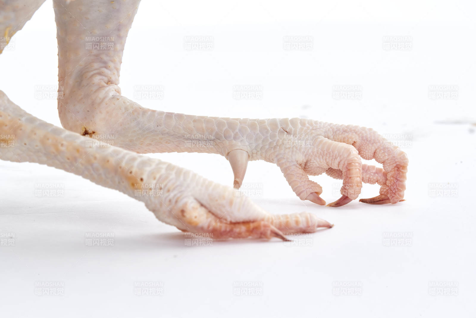 摆放在白色背景上的生鲜鸡肉整鸡图片