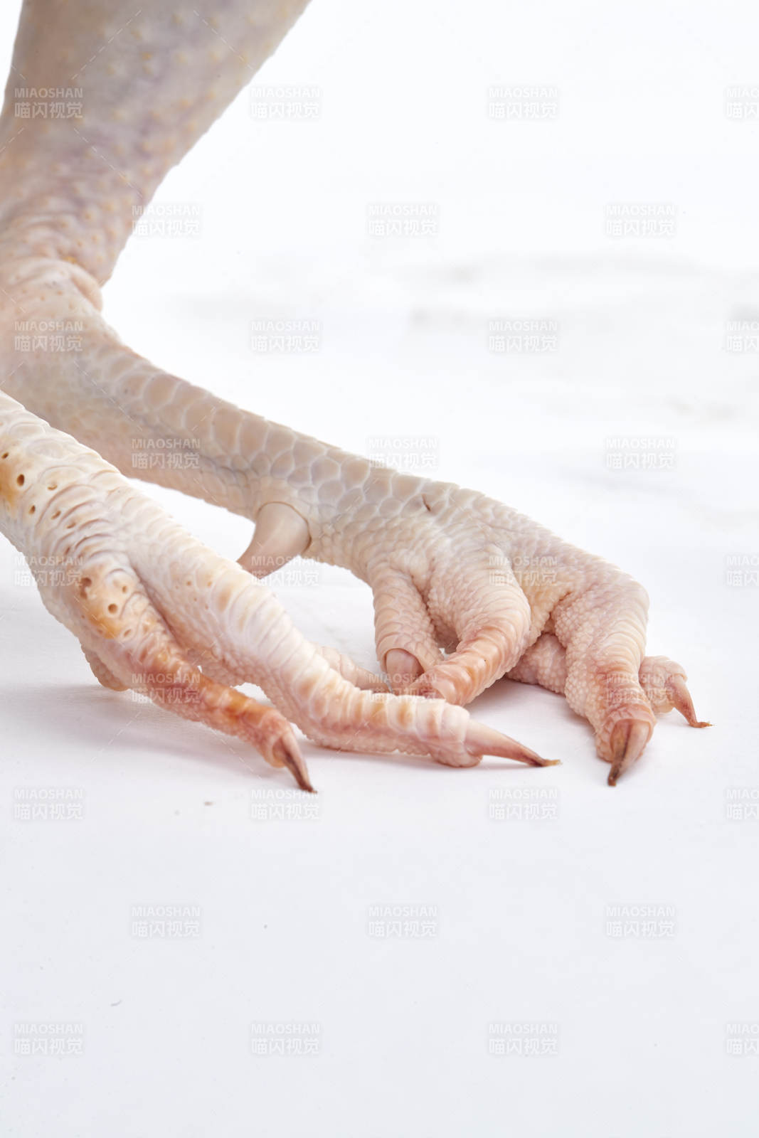 摆放在白色背景上的生鲜鸡肉整鸡图片