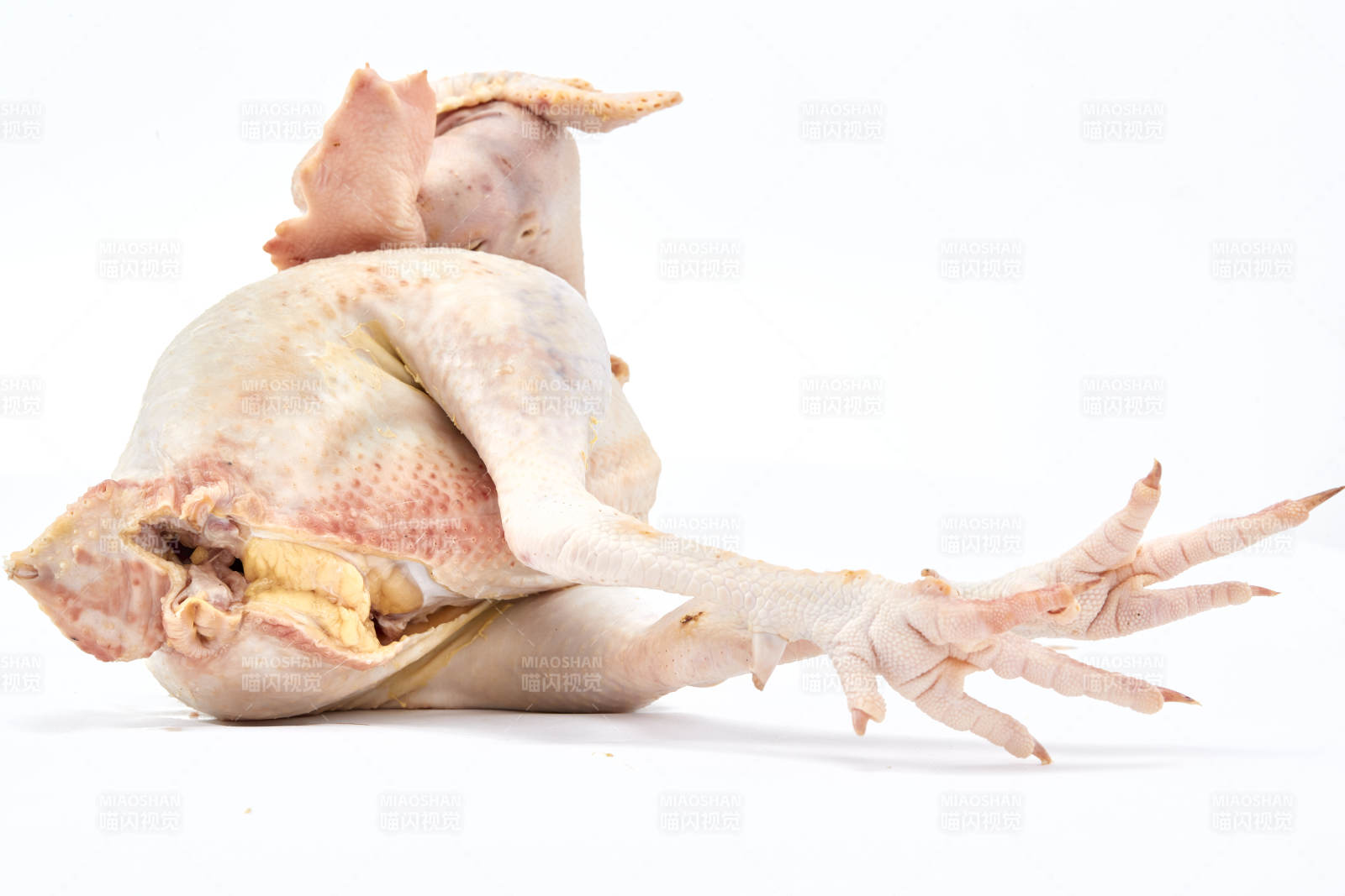 摆放在白色背景上的生鲜鸡肉整鸡图片