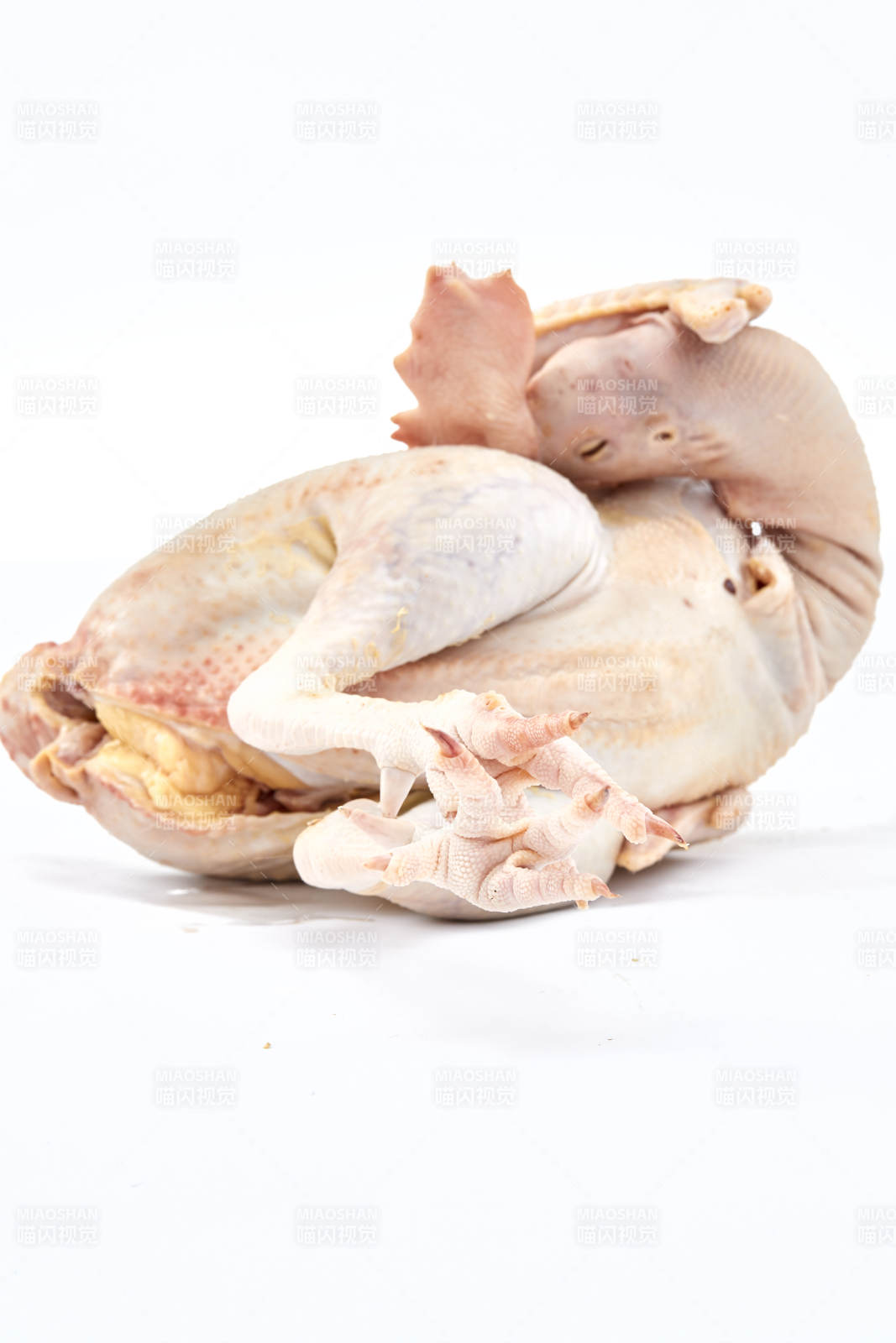摆放在白色背景上的生鲜鸡肉整鸡图片