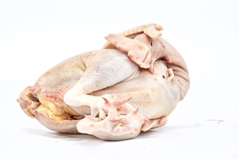 摆放在白色背景上的生鲜鸡肉整鸡图片