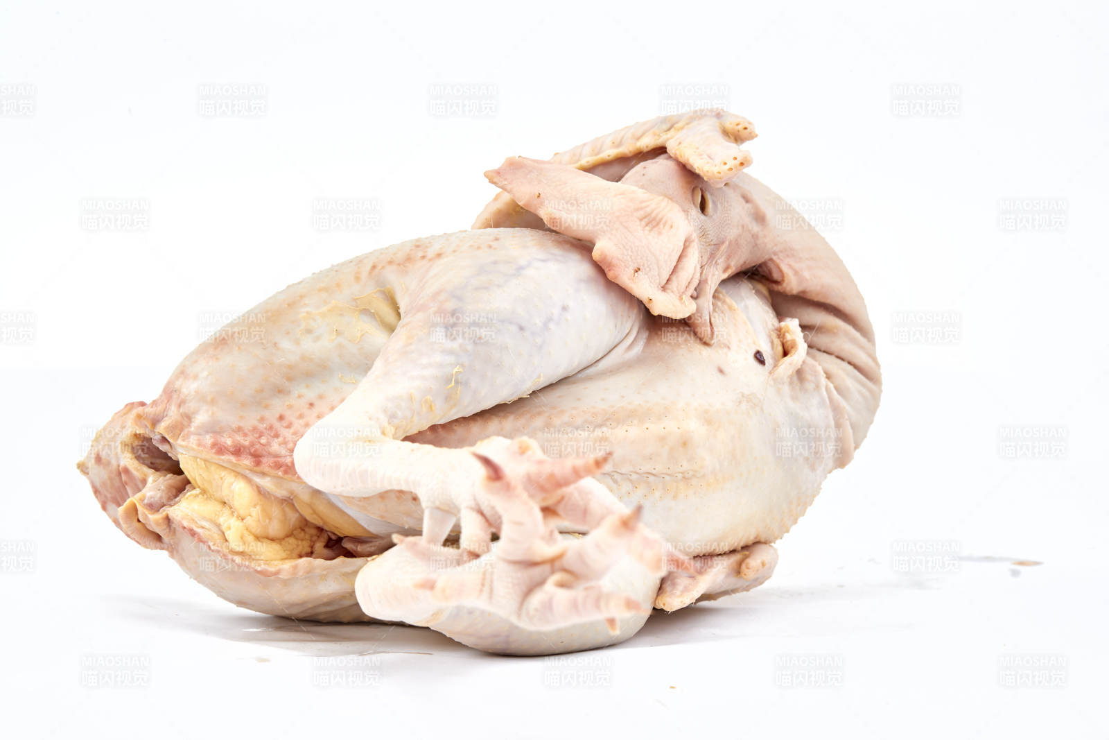 摆放在白色背景上的生鲜鸡肉整鸡图片