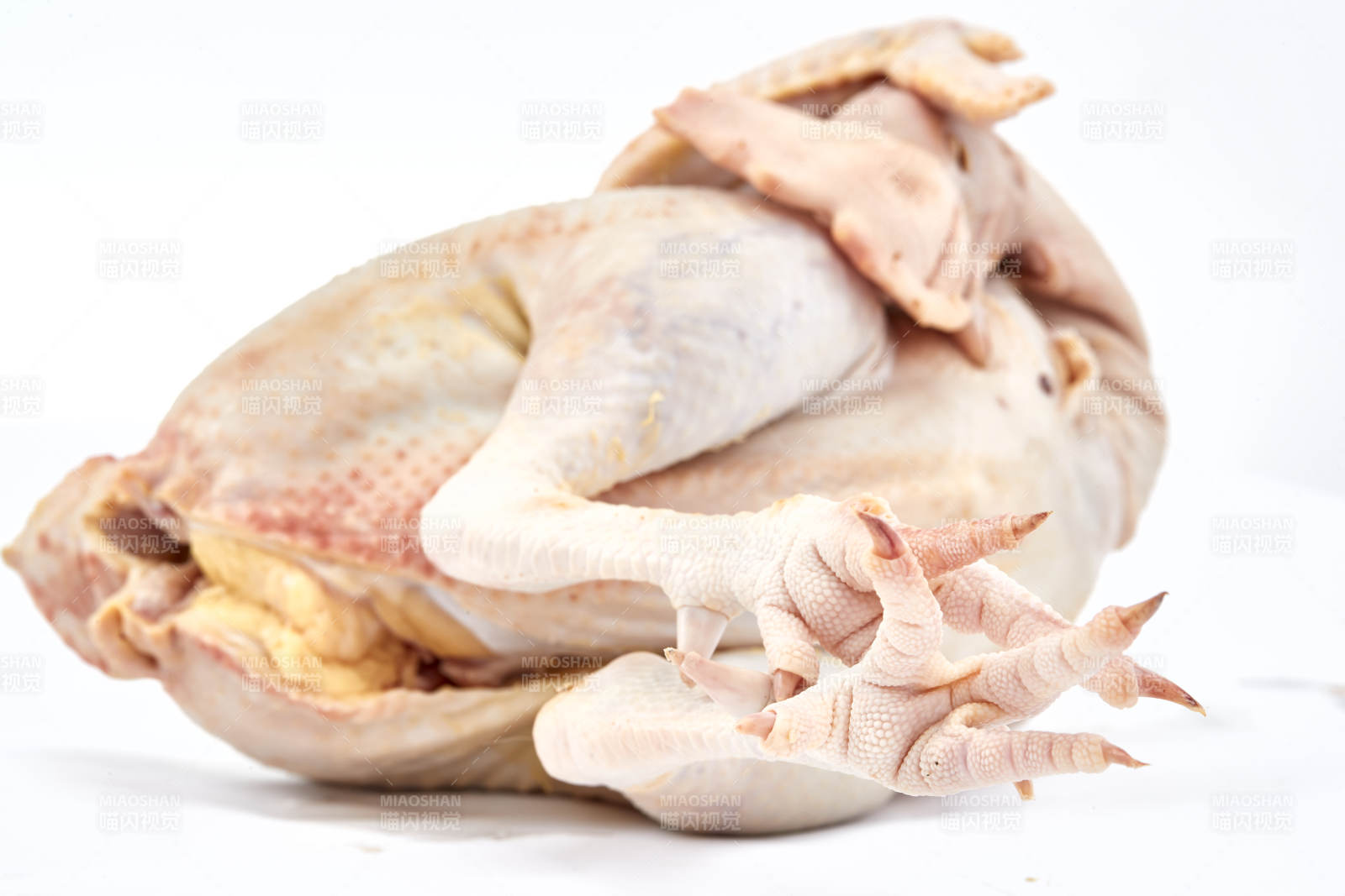摆放在白色背景上的生鲜鸡肉整鸡图片