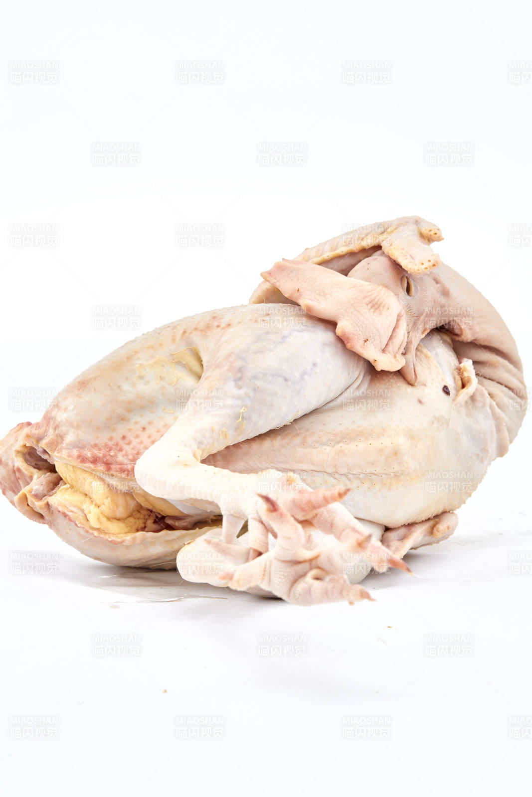 摆放在白色背景上的生鲜鸡肉整鸡图片
