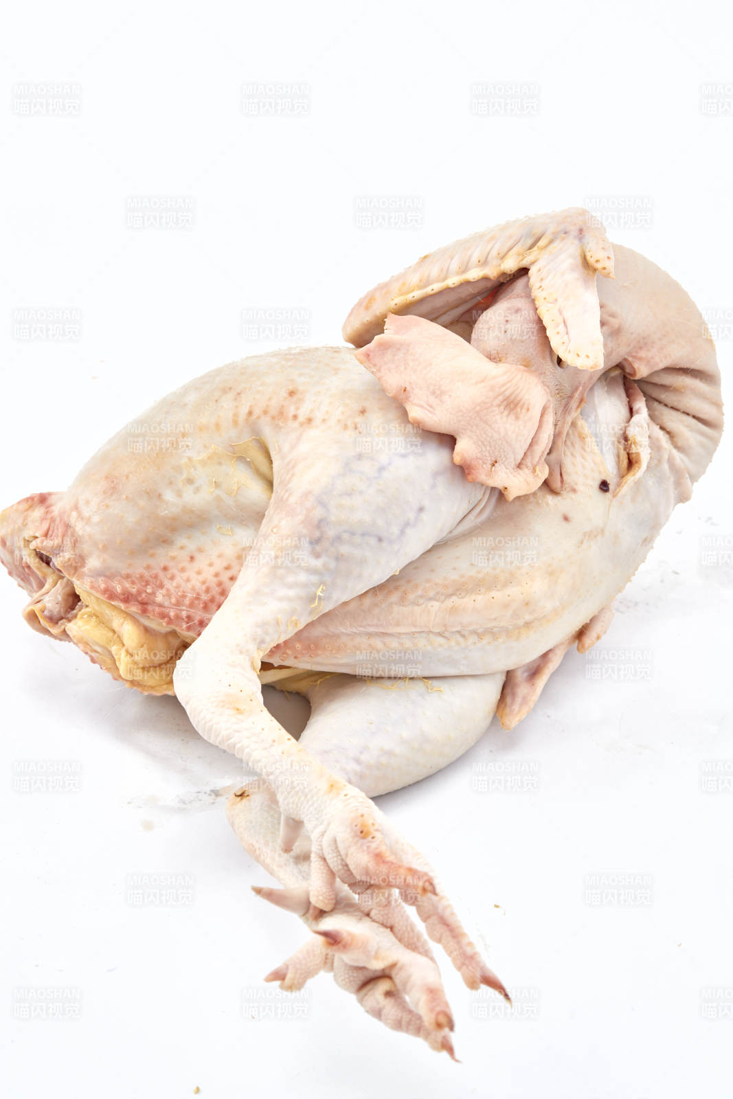 摆放在白色背景上的生鲜鸡肉整鸡图片