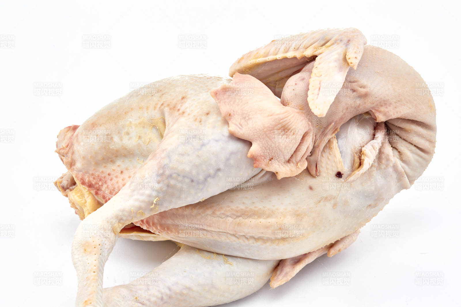 摆放在白色背景上的生鲜鸡肉整鸡图片