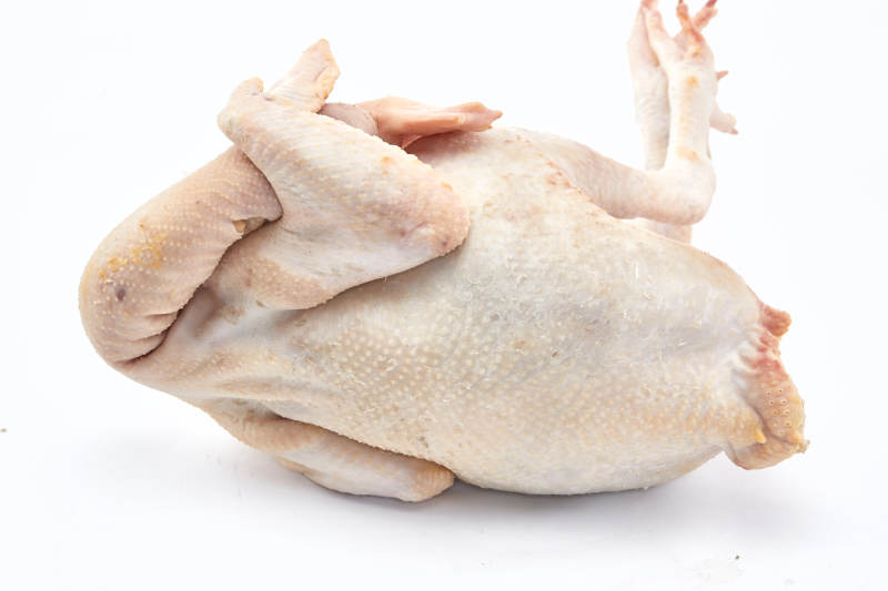 摆放在白色背景上的生鲜鸡肉整鸡图片