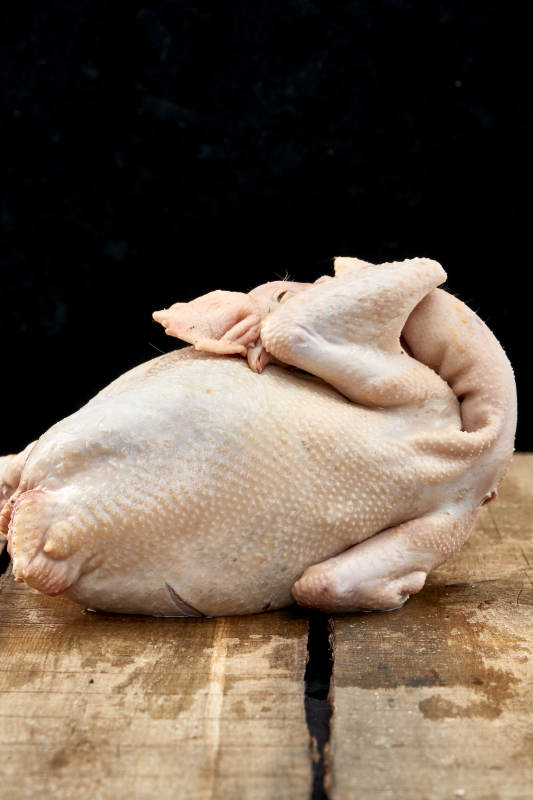 摆放在白色背景上的生鲜鸡肉整鸡图片