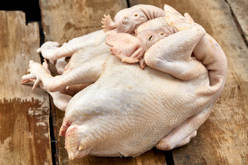 摆放在白色背景上的生鲜鸡肉整鸡图片