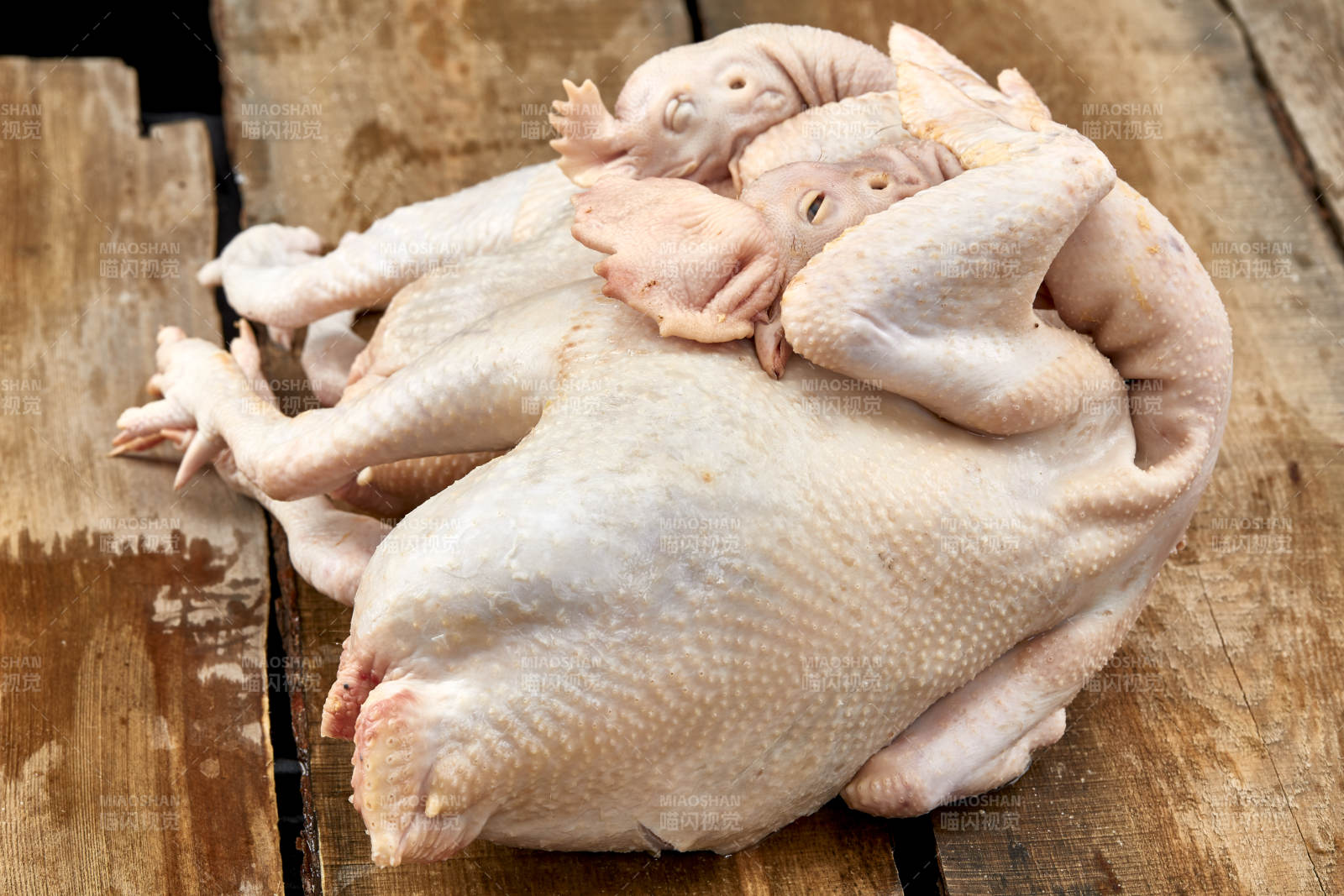 摆放在白色背景上的生鲜鸡肉整鸡图片