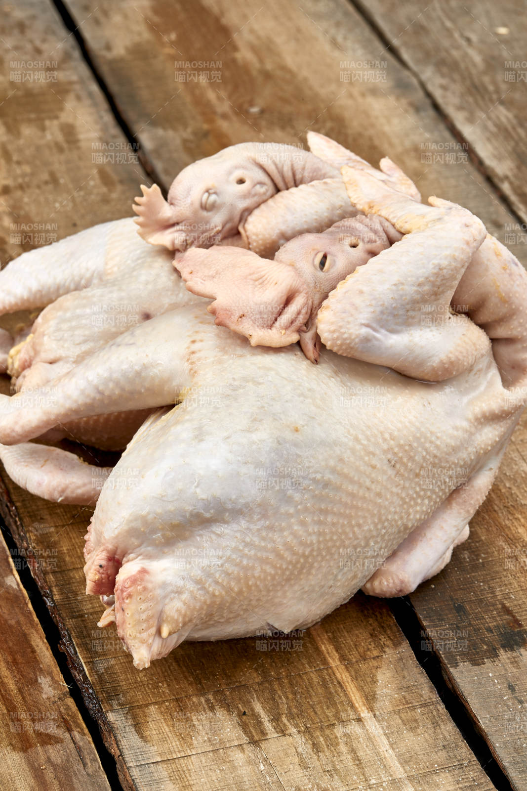 摆放在白色背景上的生鲜鸡肉整鸡图片