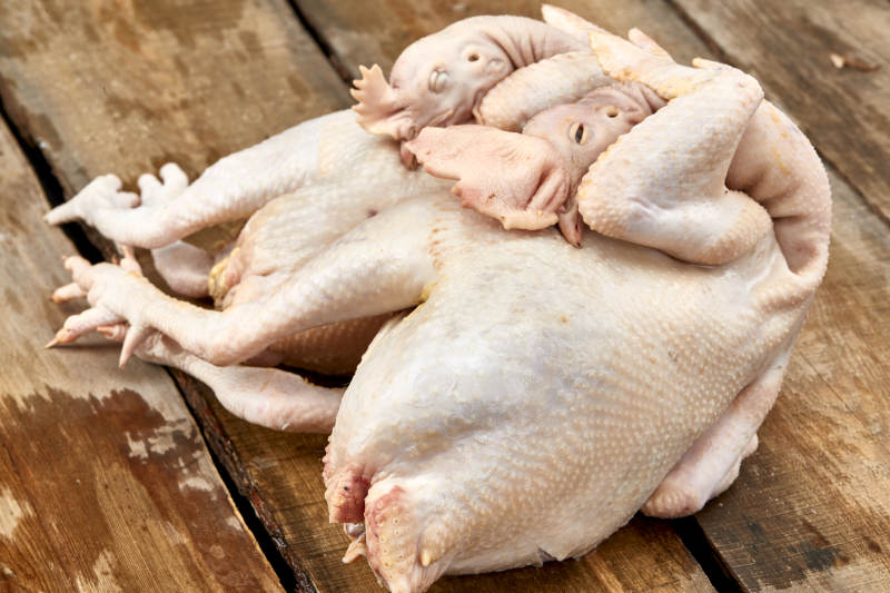 摆放在白色背景上的生鲜鸡肉整鸡图片