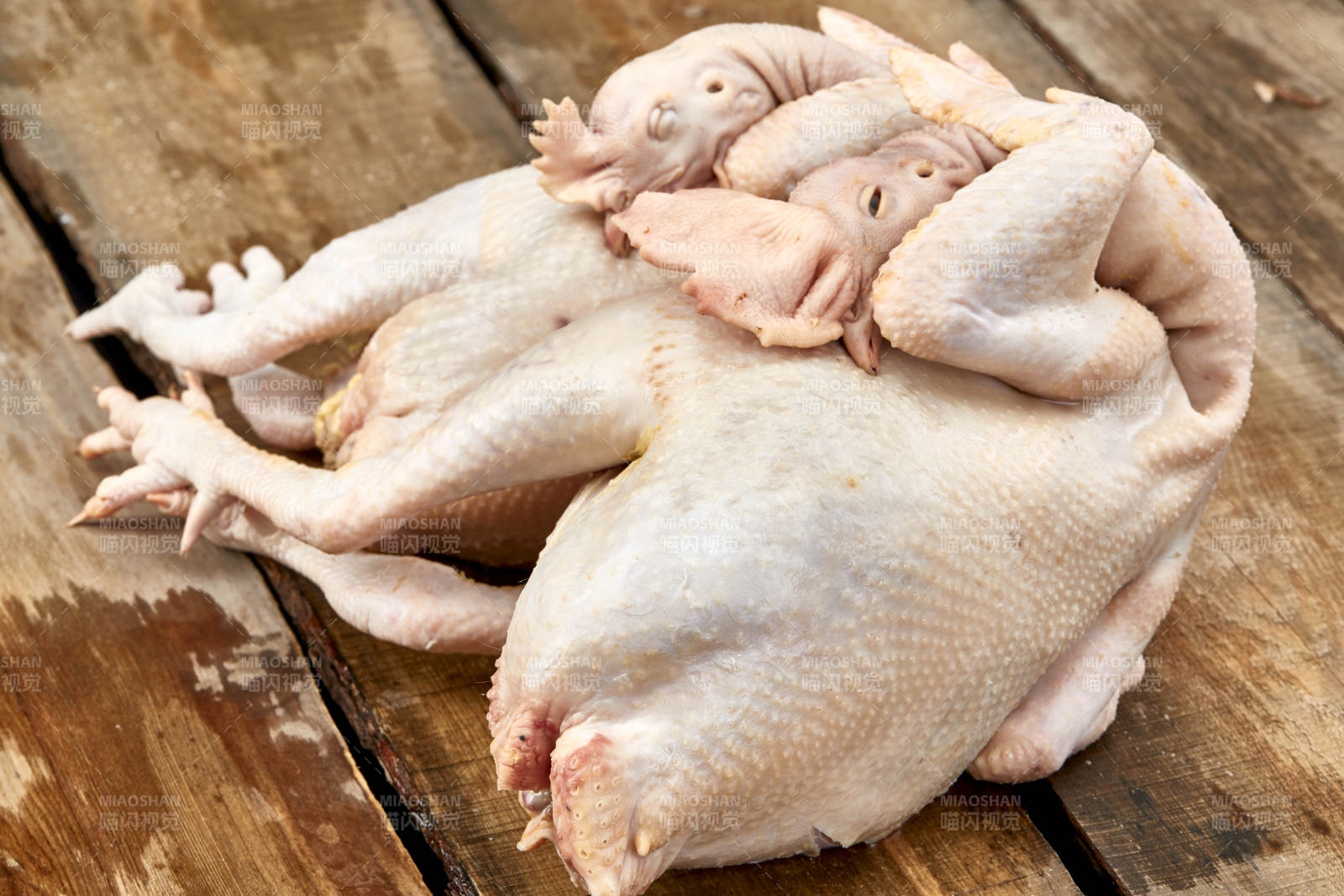 摆放在白色背景上的生鲜鸡肉整鸡图片