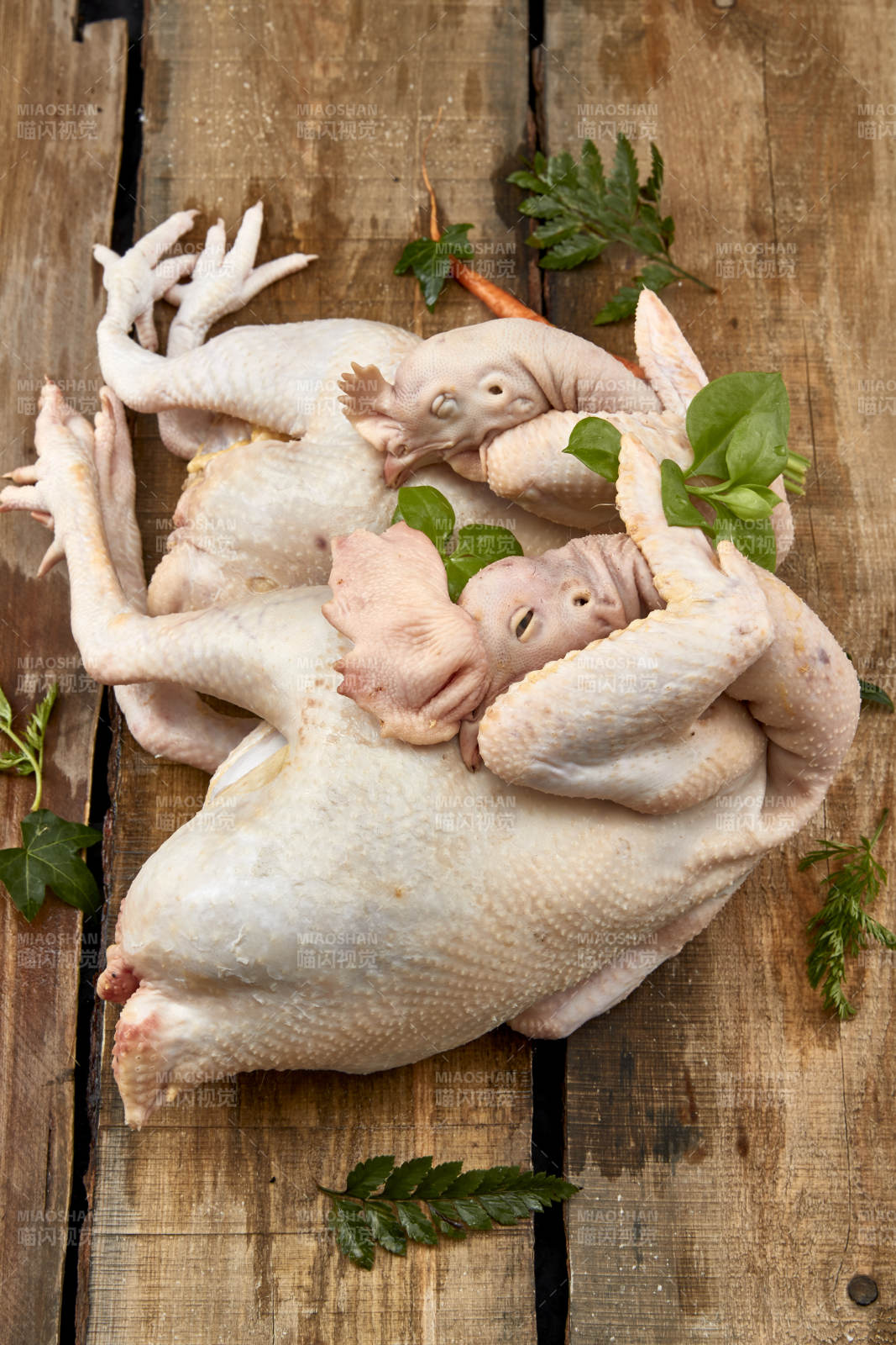 摆放在白色背景上的生鲜鸡肉整鸡图片