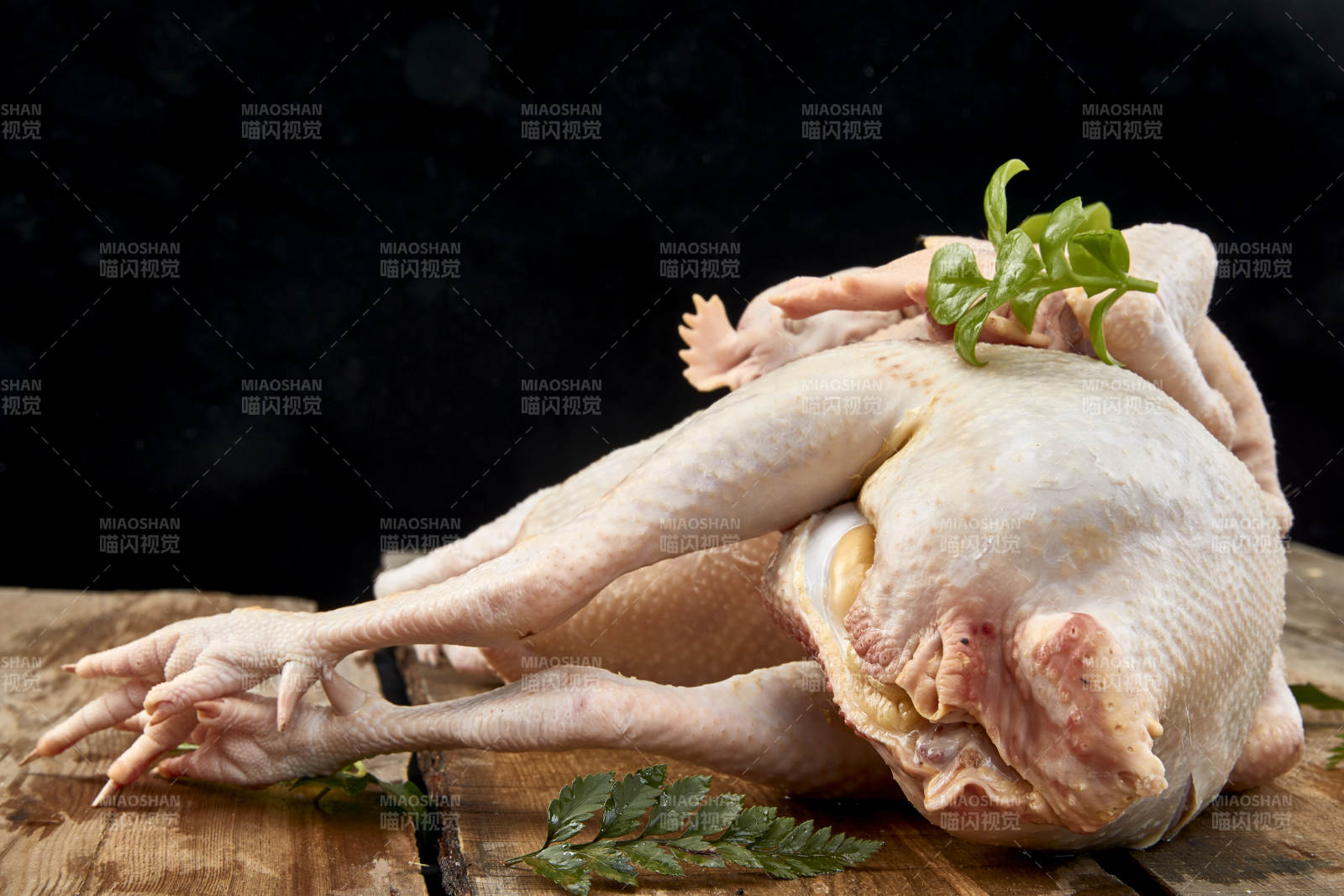 摆放在白色背景上的生鲜鸡肉整鸡图片