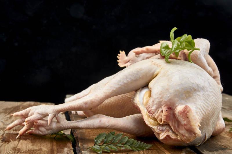 摆放在白色背景上的生鲜鸡肉整鸡图片