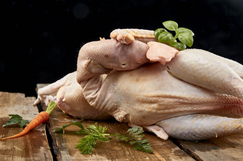 摆放在白色背景上的生鲜鸡肉整鸡图片