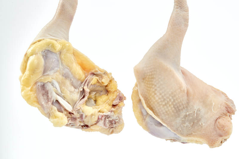 摆放在白色背景上分切好的生鲜鸡腿图片