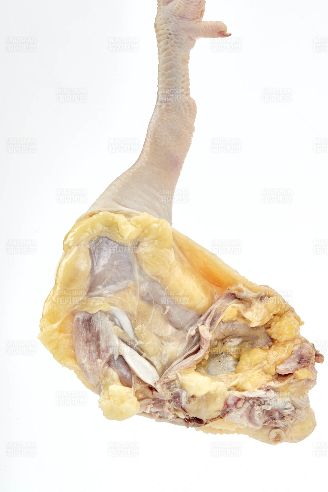 摆放在白色背景上分切好的生鲜鸡腿图片