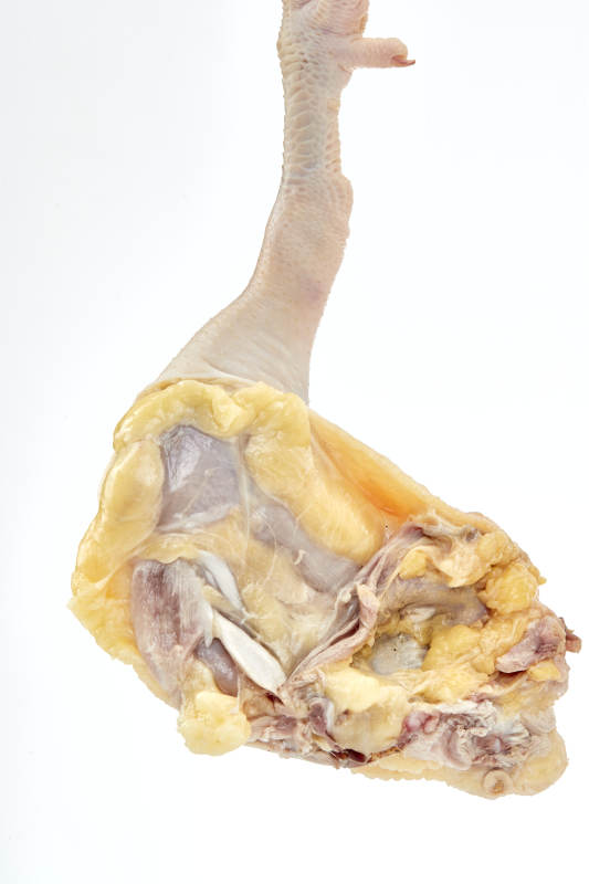 摆放在白色背景上分切好的生鲜鸡腿图片