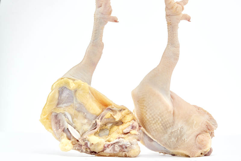 摆放在白色背景上分切好的生鲜鸡腿图片