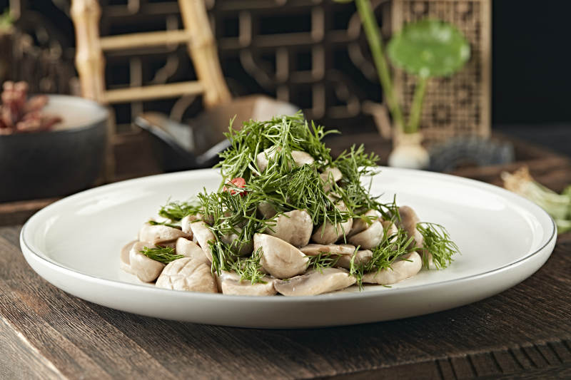 茴香碎凉拌塞外口蘑图片